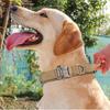 Hundehalsband- und Leinen-Set aus Nylon, strapazierfähiges Hundehalsband, reflektierende Leine, taktisches Trainingshalsband für Haustiere, Leinen-Set für große Hunde