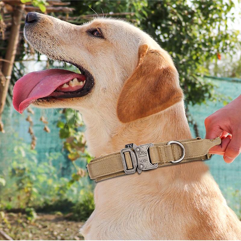 Hundehalsband- und Leinen-Set aus Nylon, strapazierfähiges Hundehalsband, reflektierende Leine, taktisches Trainingshalsband für Haustiere, Leinen-Set für große Hunde