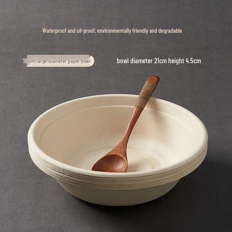 Disposable Picnic Tableware Set