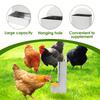 Chicken Oyster Shell Feeder Metal Rooster Farm Grit Dispenser Large Automatic Poultry Feeding Accessory for Duck Chicken Poultry