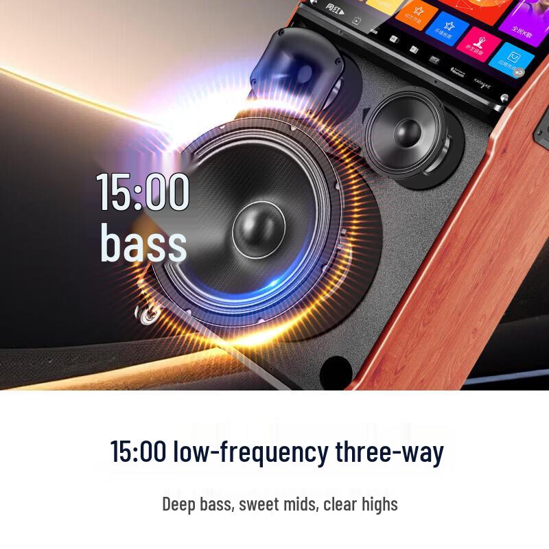 SAST All-in-One Portable Karaoke Machine with Display (CN version)