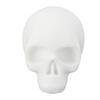 Tattoo Practice Skull Silicone Realistic Delicate Texture Tattooing Skull Model for Designing Artwor