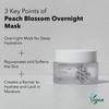 House of Dohwa - Peach Blossom Overnight Mask
