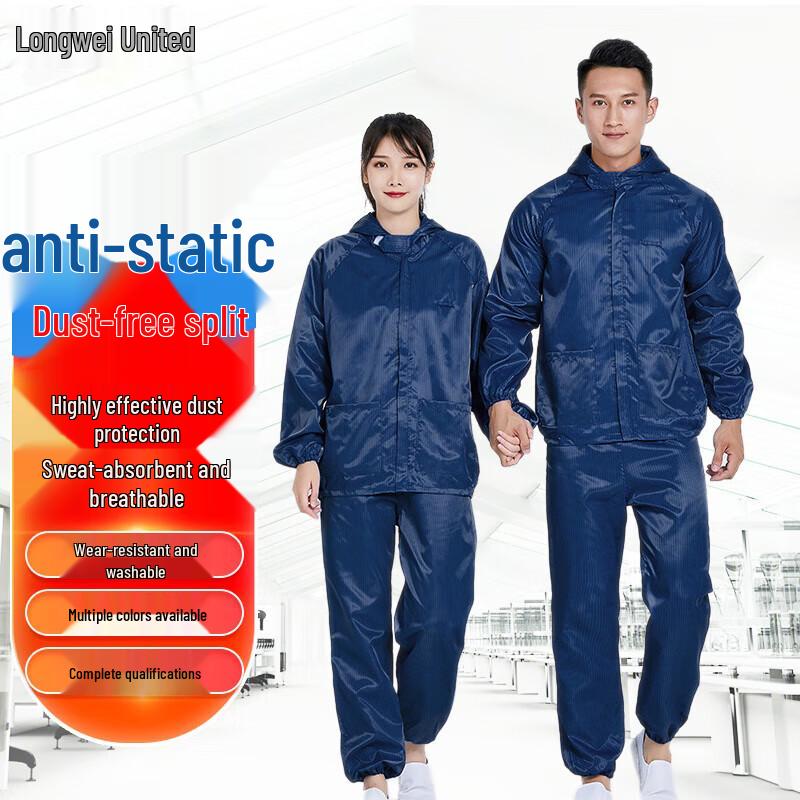Cleanroom Anti-Static & Dust-Proof Protective Gear