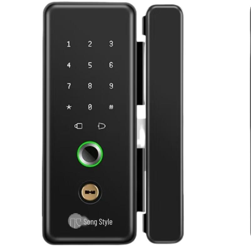 Gepai B10 Smart Fingerprint Access Control Lock CN plug (adapter included)