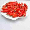 Simulation Foam Mini Fruits & Vegetables Set - 35 pcs for Window Decoration