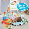 Fun Play Gym Baby Toddler Toy with Indoor Play Baby Gym Play for Babies and HYR60 Fisher-Price Kick-and-Rock - & Mirror, Rattle, Equipment, & Mat, Up,