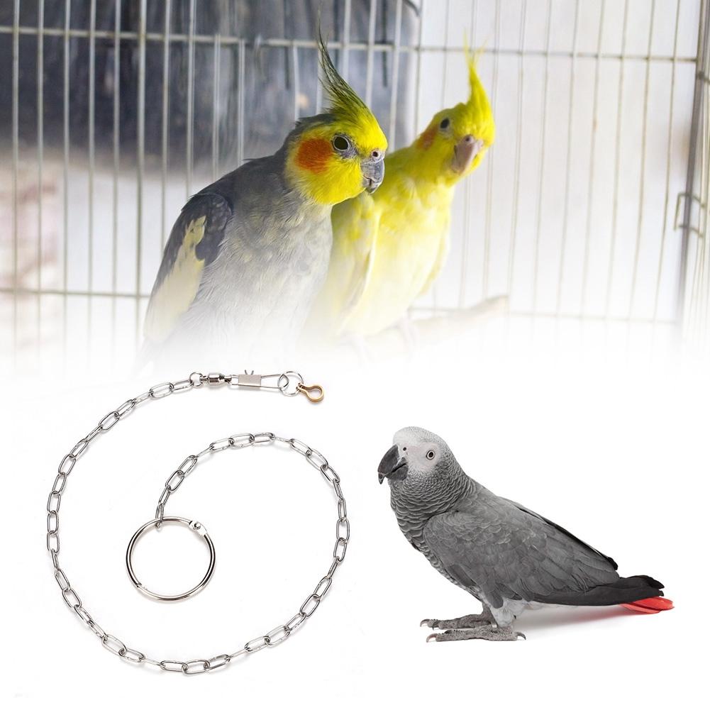 Stainless Steel Pet Birds Parrot Foot Chain Anklet Training Harness (Psittacula Eupatria)