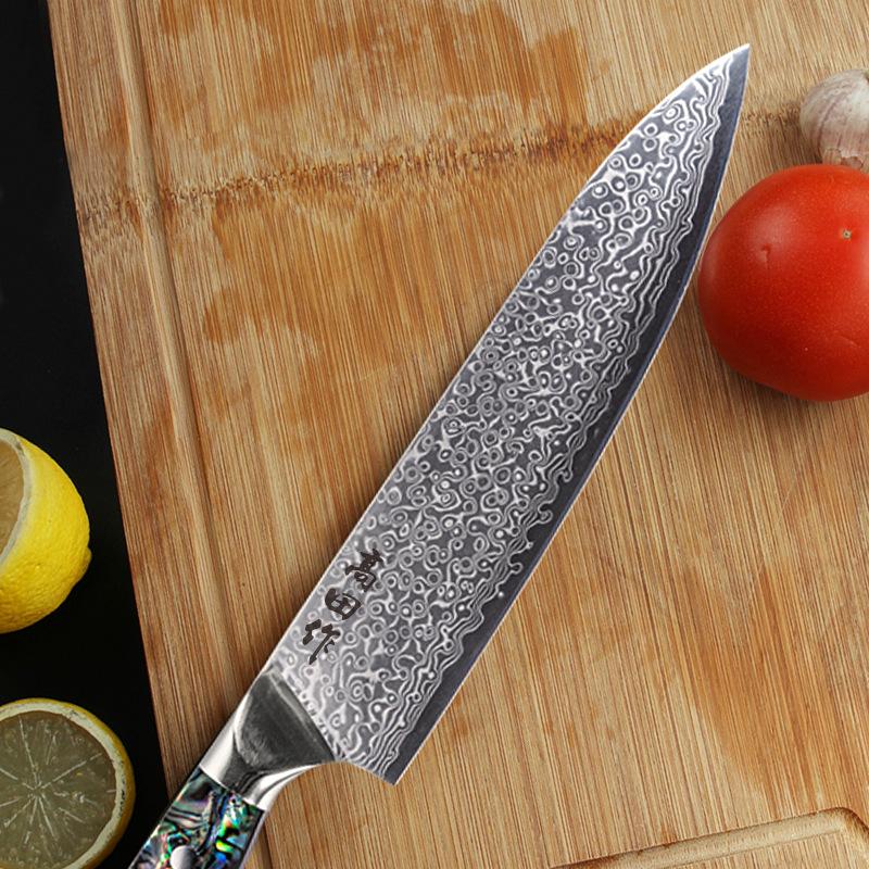 8 Inch Chef Knife 67-layers Damascus Steel 10Cr15CoMoV Blade Abalone Shell Handle Slicing Vegetables Cleaver Meat Kitchen Knives