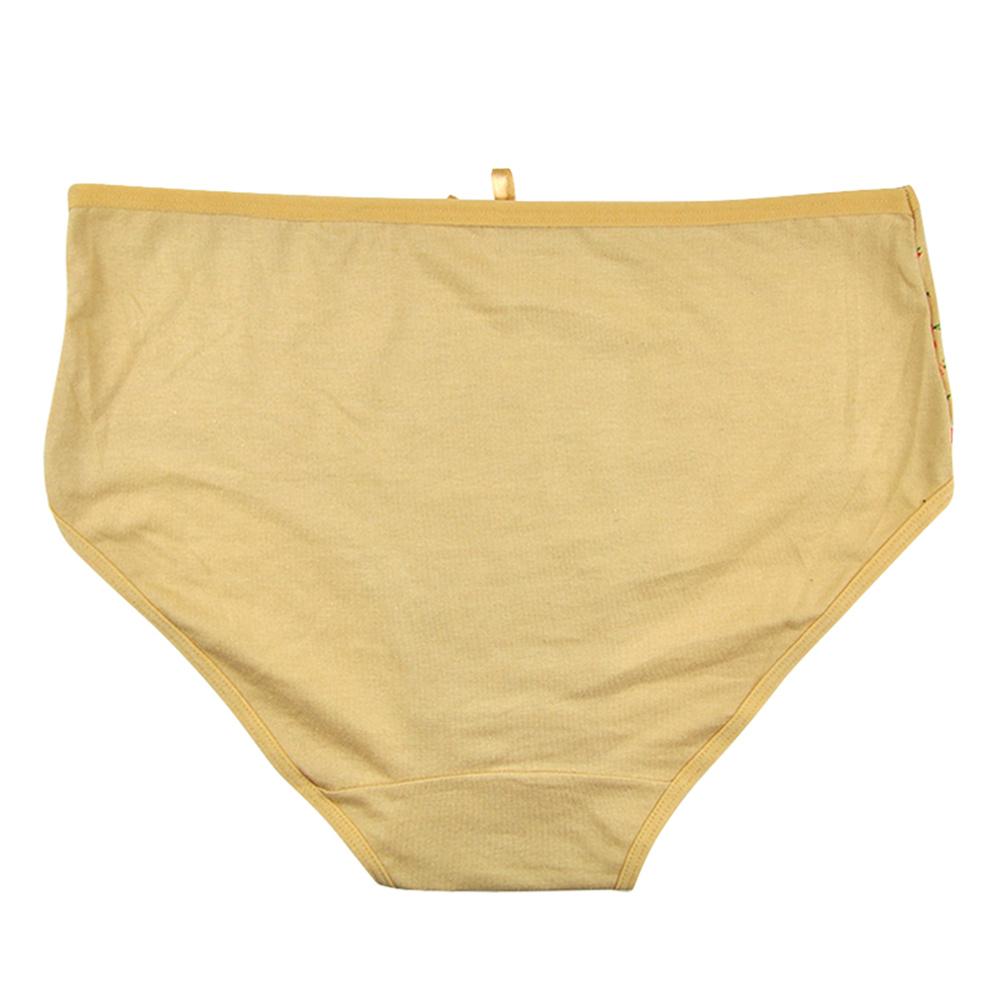 Buy Women Underwear Cotton High Waist Plus Size Sexy Bikini Ladies