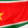 Suriname Flag 3x5ft 2x3ft, Large Polyester Banner with Brass Grommets for Indoor Outdoor Decor National Day Celebration, Events