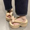 Fashion Flip-flops Women's Summer Outer Wear 2025 New Internet Celebrity Super Fire Thick Bottom Heightening Pinch Foot Beach Cool Slippers
