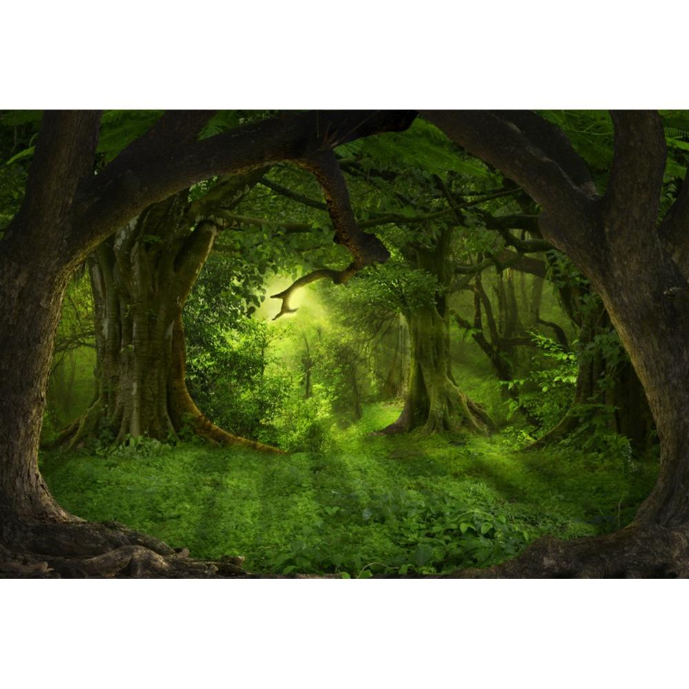 Spring Forest Backdrop Tropical Jungle Rainforest Backdrops for Photography Camping Adventure Birthday Background Photo Studio