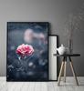 Obraz plakat w ramie 43x33 cm kwiat p1237