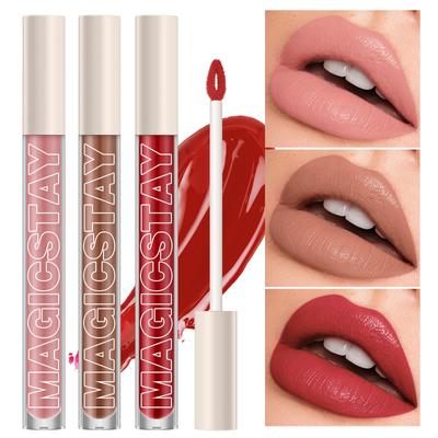 The New Twelve-color Waterproof Lip Gloss Waterproof Pearlescent Velvet Lipstick Is Suitable for Daily Wear and Beauty Tools