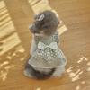 Pet Dog Cat Clothes Cotton Lace Dress Maltese Small Dogs