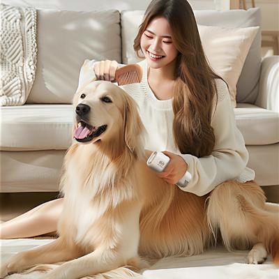 High Power Pet Hair Dryer for Dogs Wearable Neck Hanging Blower 2-in-1 Bathing & Grooming Tool Portable Pet Grooming Equipment