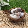 Ornaments Craft Vine Handmade Nature Birds Egg Realistic Feathered Artificial Craft Birds Bird Nest