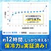 GGN Ice Ideal for Disaster Preparedness and Emergency Made In Set of 2 Packs, Powerful, Mini, -11°C (12 Hours), Preparedness, Japan, 700g,