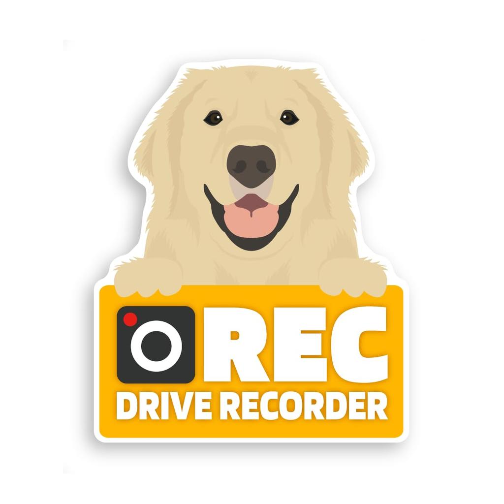 Takasu Shoten Dash Cam Magnet Car Sign Sticker Sticker Car Rear Warning Recording Dog Cat (Golden Retriever)