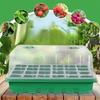 1/5-Piece Seedling Tray Kit - 24 Cell Greenhouse Starter with Humidity Dome & Base, Green Plastic Propagation Trays