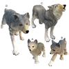Wolf Figurines Smell-less Preschool Educational Active Poses