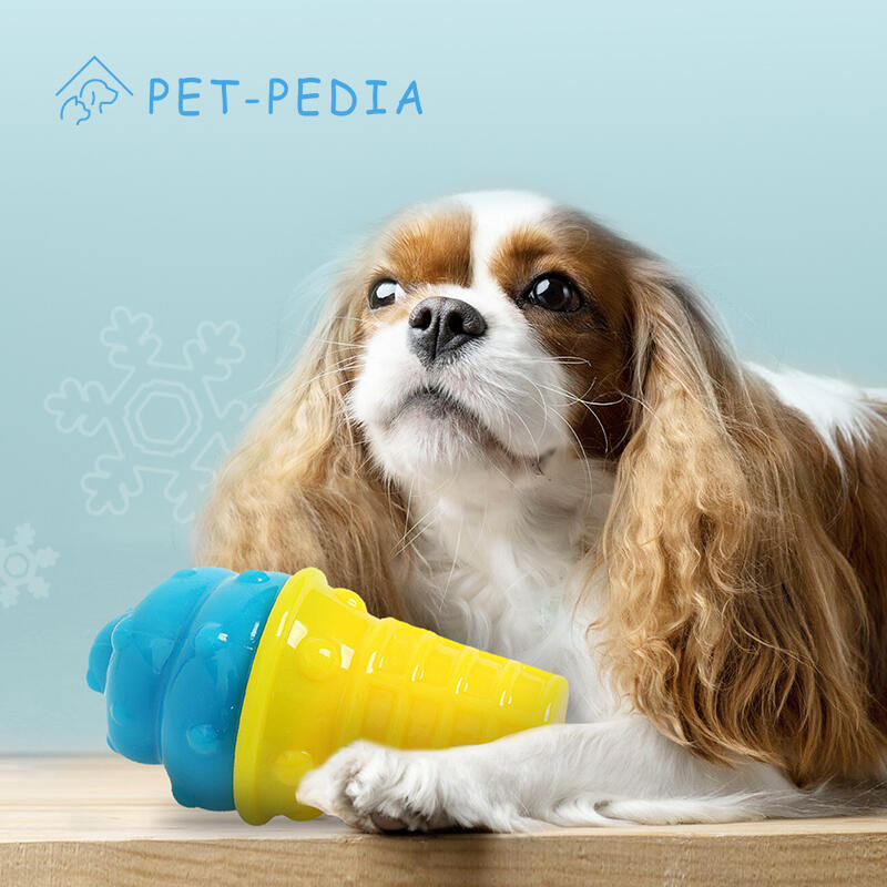 Summer Water Play Ice Toys (Ice Cream)