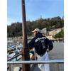High Street Gothic Hoodie Set Letter Print Loose Fit Sweatshirt Women