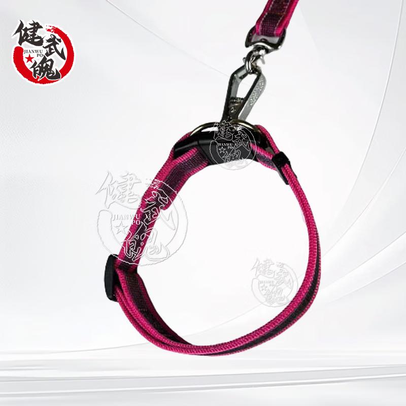 

Jianwupo Anti-Pull Dog Training Harness & Leash