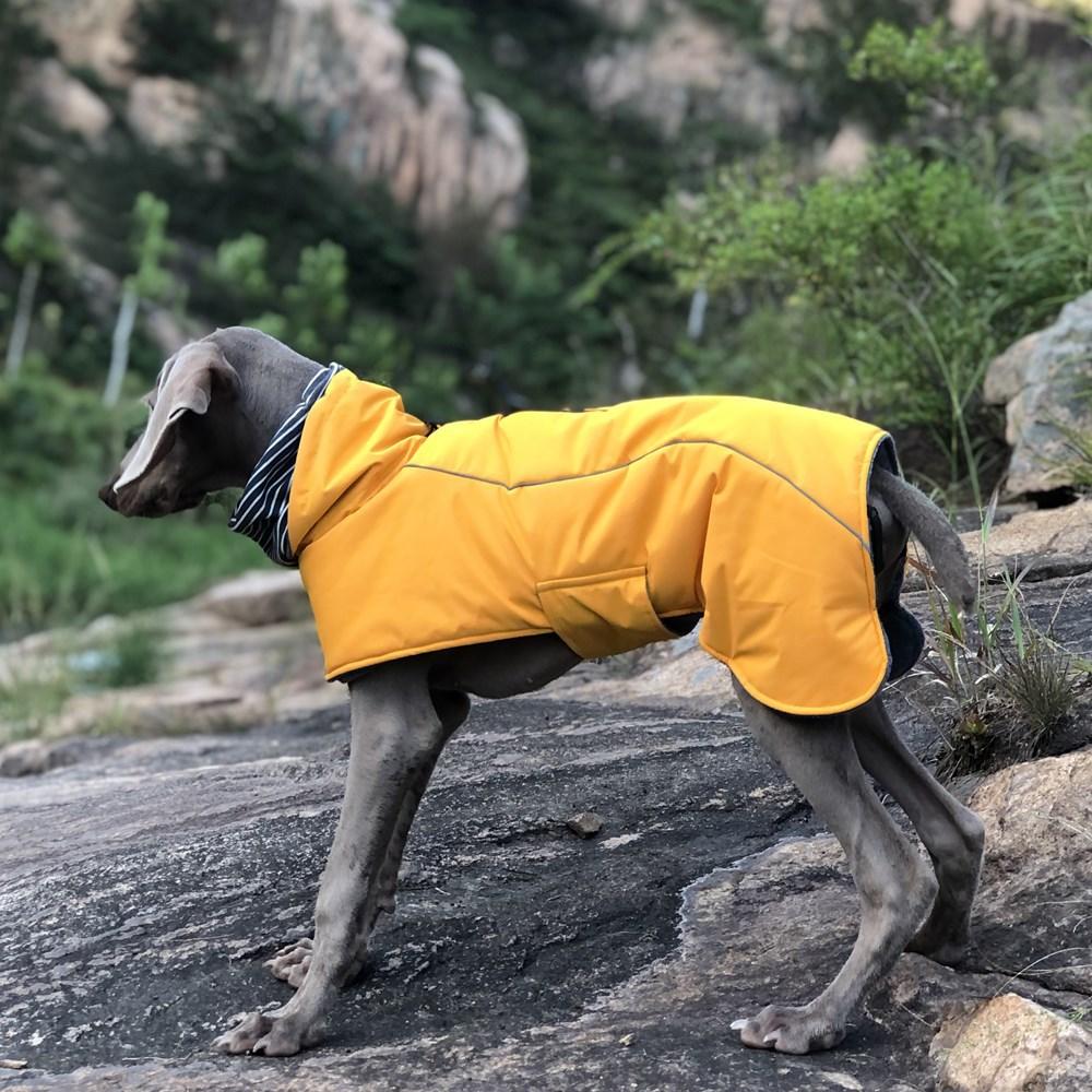 Pet Cotton Clothes Dog Clothes Double Collar Warm And Water-Proof Big Dog Clothes Manufacturer