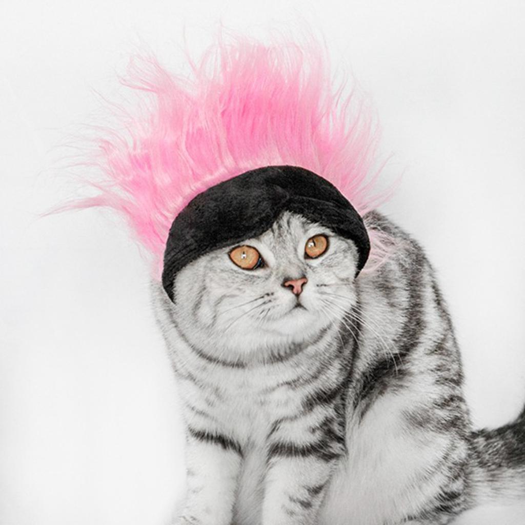 Natural Wig Funny Pet Dog Hair Headwear Curly Hair