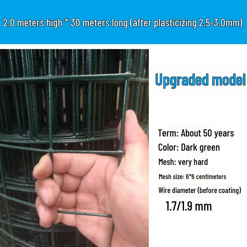 Rustproof Green Plastic-Coated Mesh Wire Fence for Chicken Enclosure