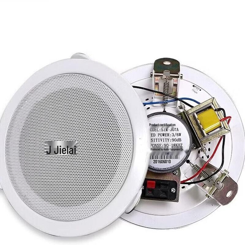 Brangdy In-Ceiling Speaker