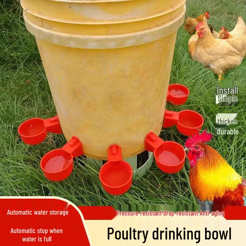 Poultry Automatic Drinking Bowl: Chicken Drinker Cup