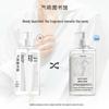 Scent Library Fragrance Shower Gel 295ml