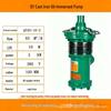 QY Oil-Immersed Centrifugal Submersible Pump for Garden Fountains and Agricultural Irrigation