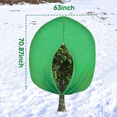 Bahçe İçin Yapılar – Bahçe Seraları
