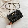 Casual Trendy and Fashionable Small Bag for Women In Summer Niche Design Small Square Bag New Fashionable and Beautiful Crossbody Bag