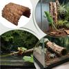 Toad House Resin Cave Habitat Tortoise Shelter For Bearded Dragon Leopard Turtle Frog Geckos Reptiles Amphibians Aquarium Tank
