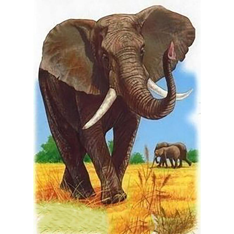 DIY Elephant 5D Diamond Maling Full Rund Drill Animal Diamond Brodery Rhinestone Art Mosaic Home Decoration Håndlaget gave