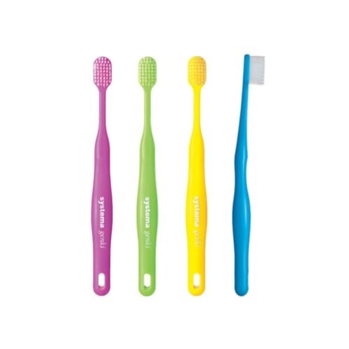 

[~6 pieces] DENT.EX systema genki