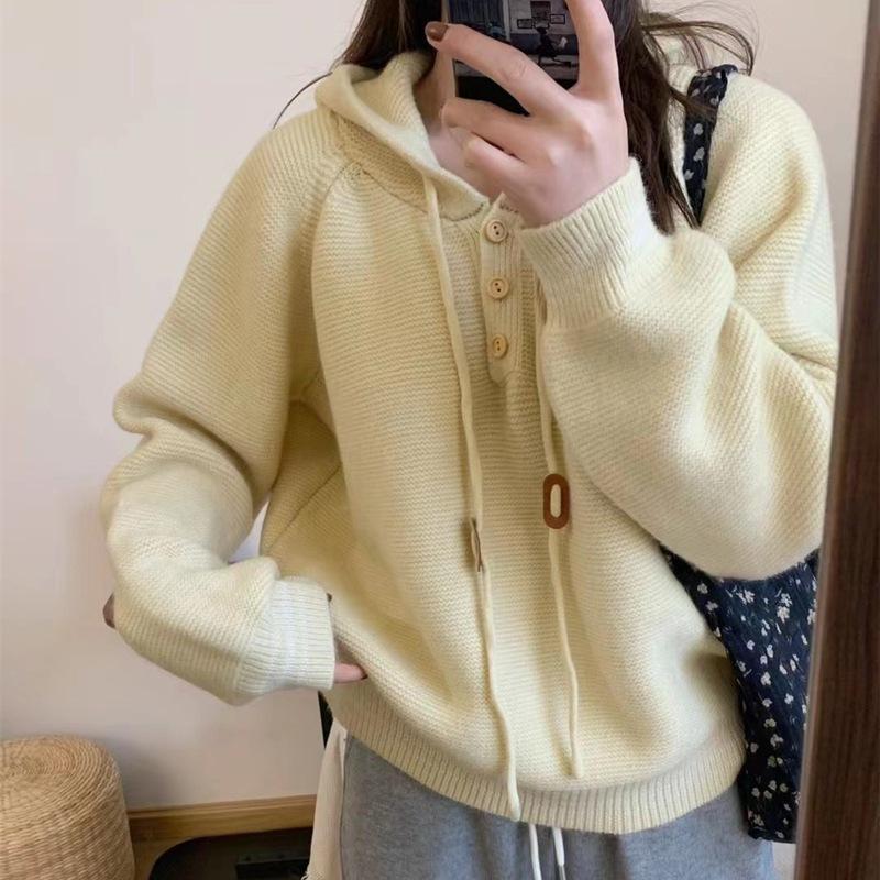 Casual Women's Hooded Knitted Sweater Autumn/Winter New Thick Hooded Sweater for Women