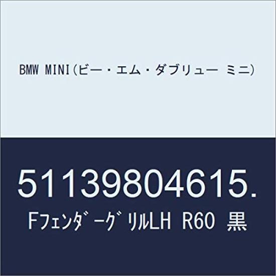 

BMW MINI Front Fender Grille Left Hand Drive R60 Black 51139804615