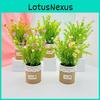 Plante Bellis vivace en pot Pot de fleur en lin Pour la décoration de salle à manger d'hôtel