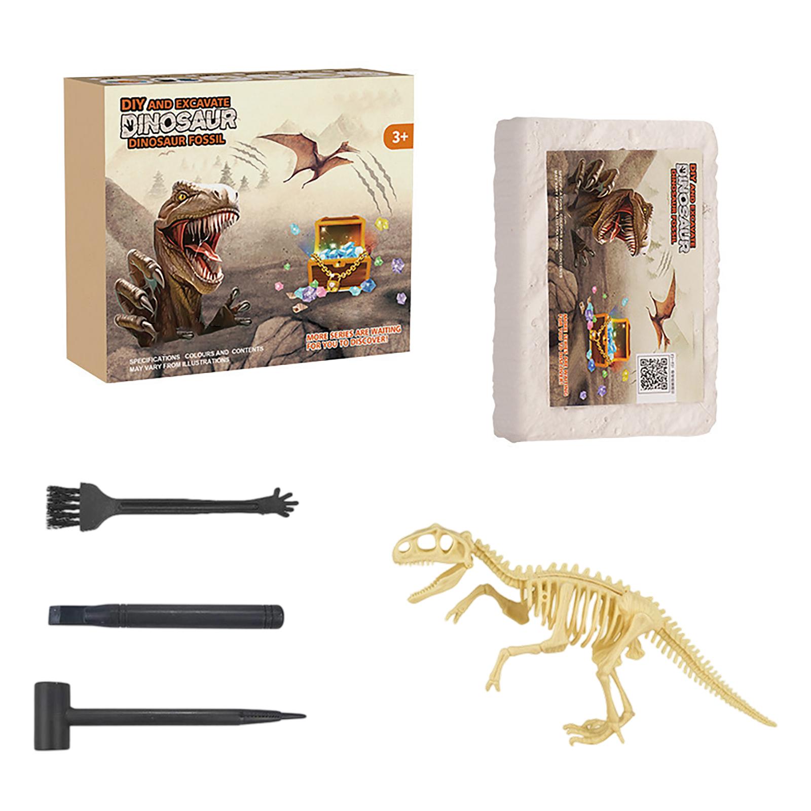 DIY Dinosaur Fossil Excavation Kit for Kids Educational Archaeology Toy Includes Dinosaur Skeleton Model and Excavation Tools for Hands On Learning One Size