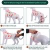 Kuoser Recovery Suit for Dogs Cats After Surgery, Professional Pet Recovery Shirt Dog Abdominal Wounds Bandages, Substitute E-Collar & Cone,Prevent