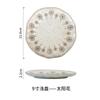 Japanese coarse Tao Pan, color plate, household tableware, high-grade pasta plate, ceramic tableware.