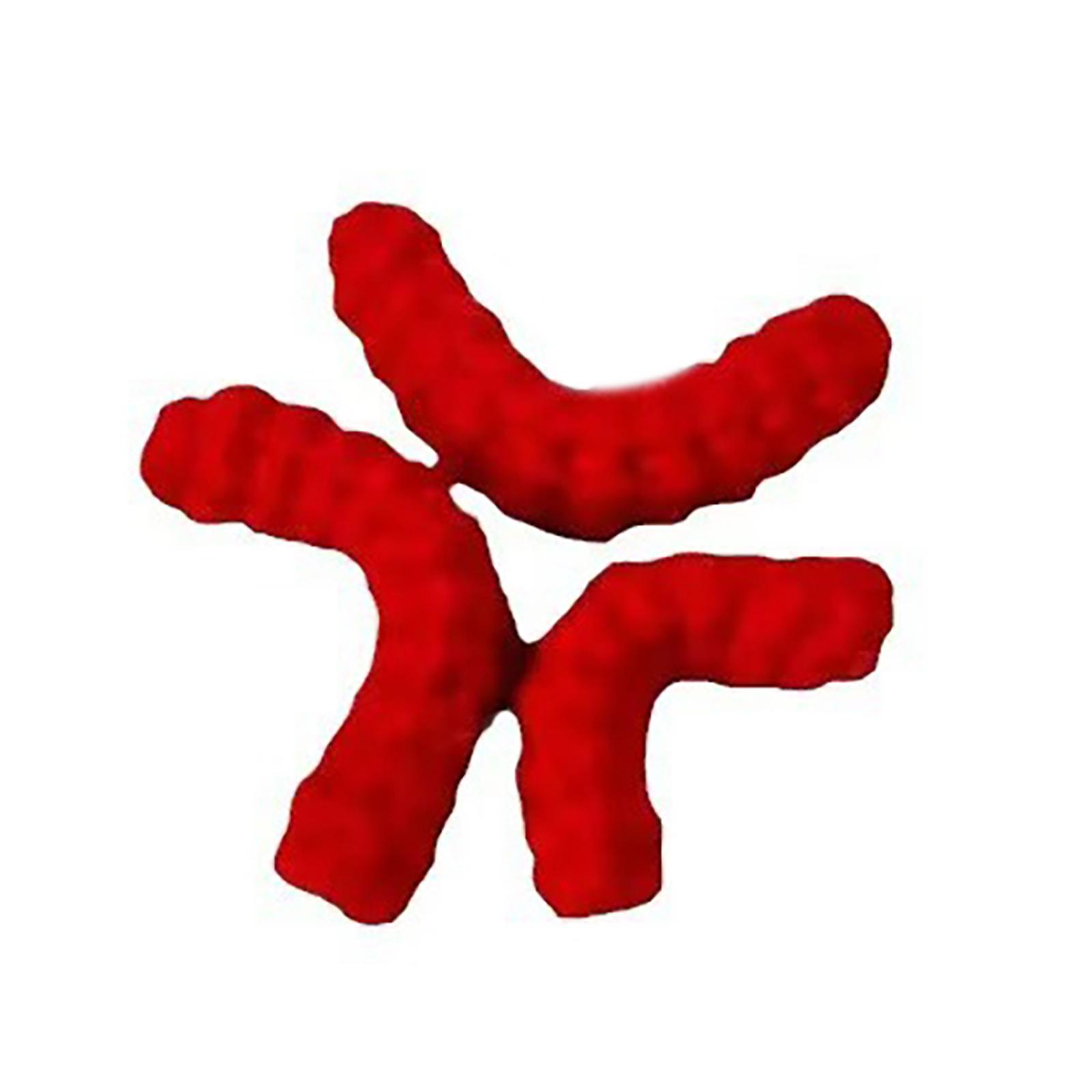 

Злые заколки для волос Зажимы-крабики для волос Утиный клюв Элегантные Милые Заколки для волос Аксессуары для волос Головные уборы Инструменты для укладки для Женщин Девушек