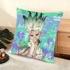 Dr Sstone Science Future Cushion Cover Soft Short Plush Pillow Cover Smooth Cozy Texture Aesthetic Cushion Case Home Decor