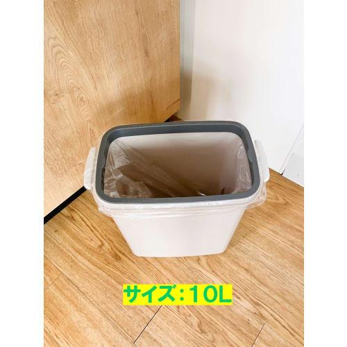 Japax Clear Garbage Bags, 10L, 50cm x 40cm x 0.025mm Thick, Small, Smooth, for Indoor Use, Small Pails, 20-Count, P-103